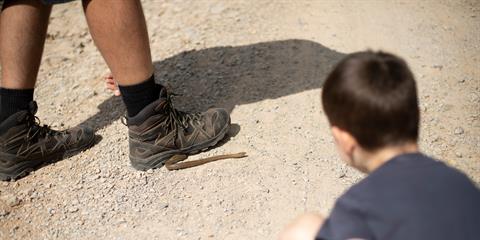 Stepping on snake during a hike.